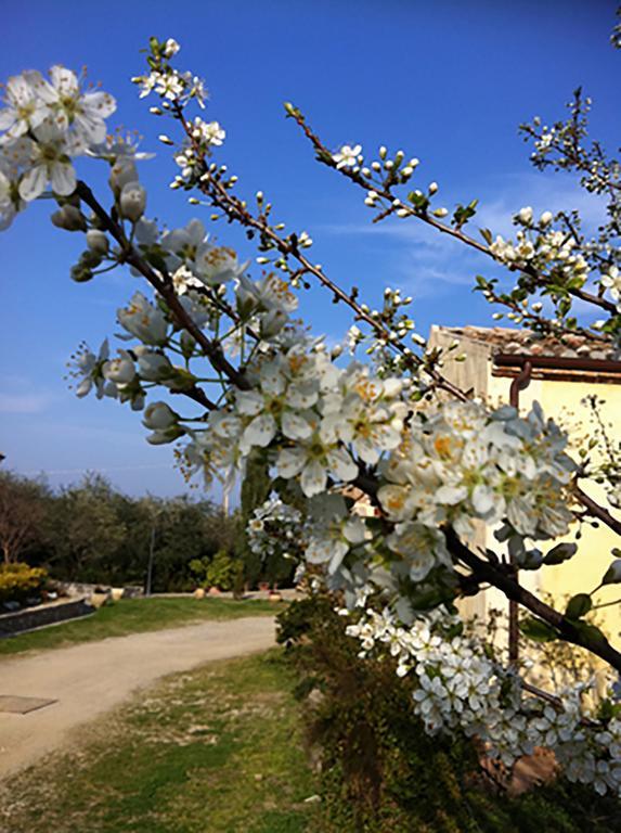 Agriturismo Frangivento Casa Giosafat Екстер'єр фото